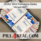 Wofür Wird Kamagra-Gelee Verwendeta kamagra1